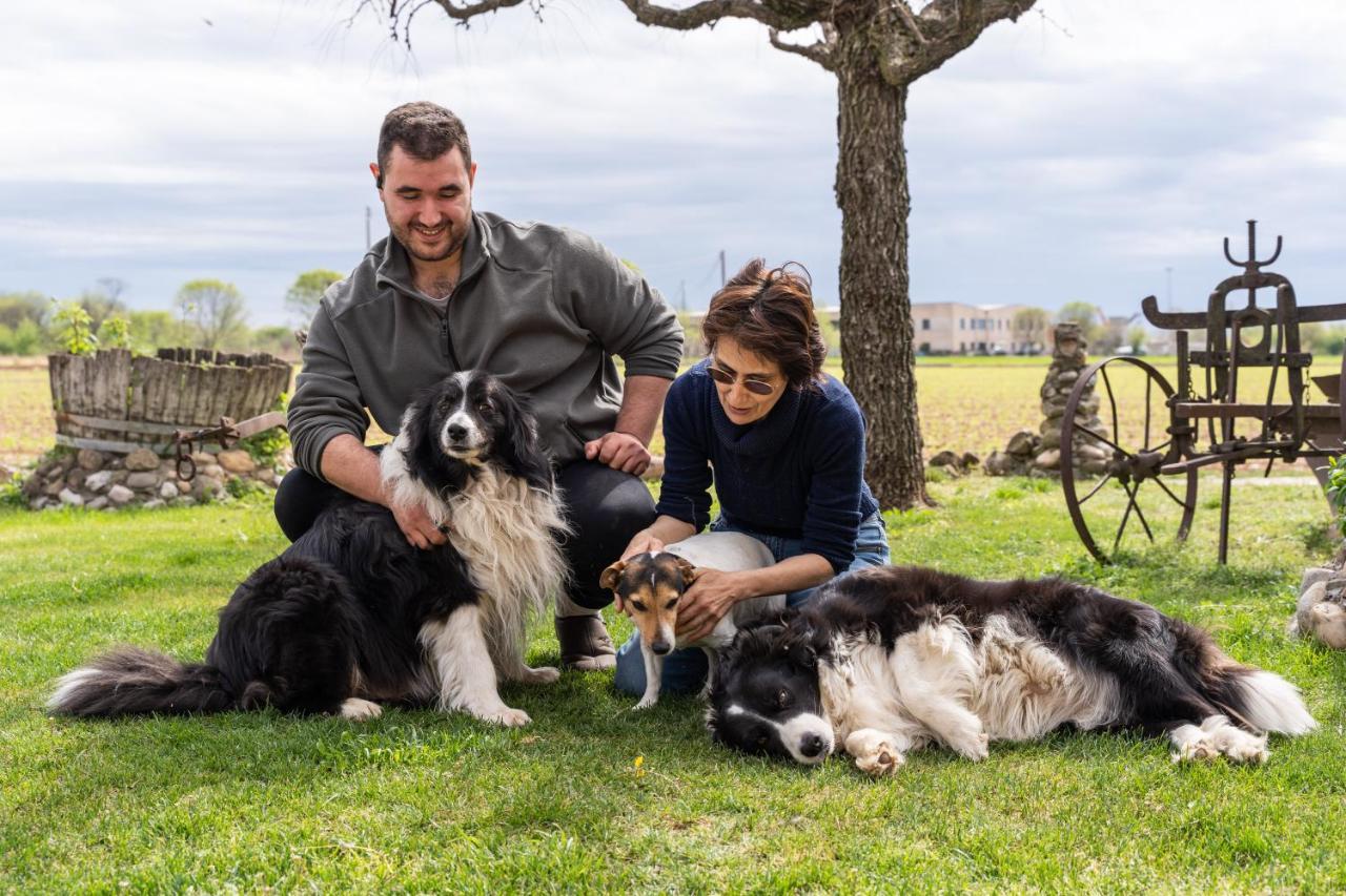 Agriturismo Pozzo Fiorito Castiglione Delle Stiviere Luaran gambar
