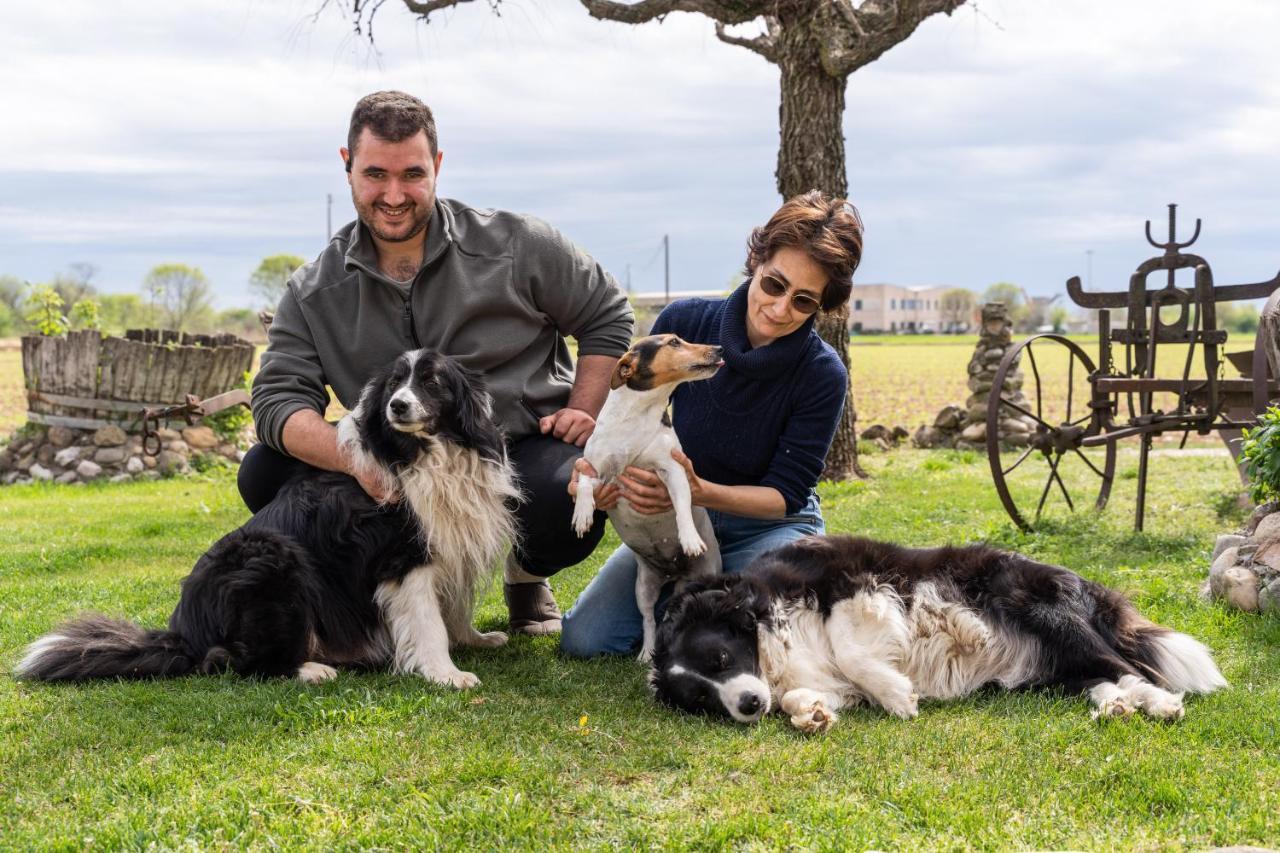 Agriturismo Pozzo Fiorito Castiglione Delle Stiviere Luaran gambar