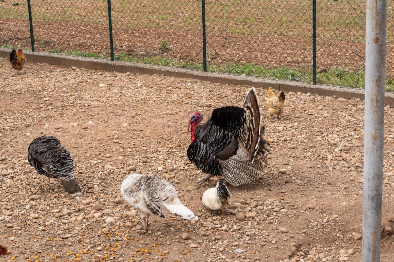 Agriturismo Pozzo Fiorito Castiglione Delle Stiviere Luaran gambar