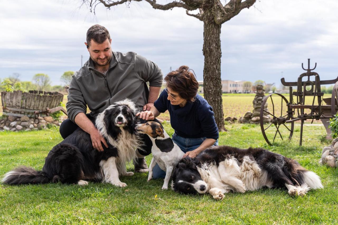Agriturismo Pozzo Fiorito Castiglione Delle Stiviere Luaran gambar