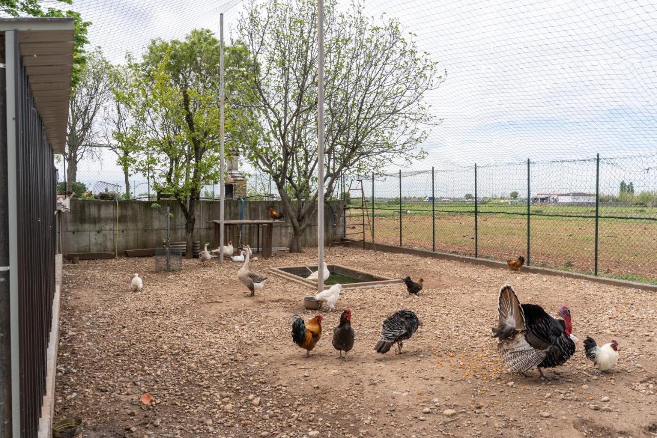 Agriturismo Pozzo Fiorito Castiglione Delle Stiviere Luaran gambar