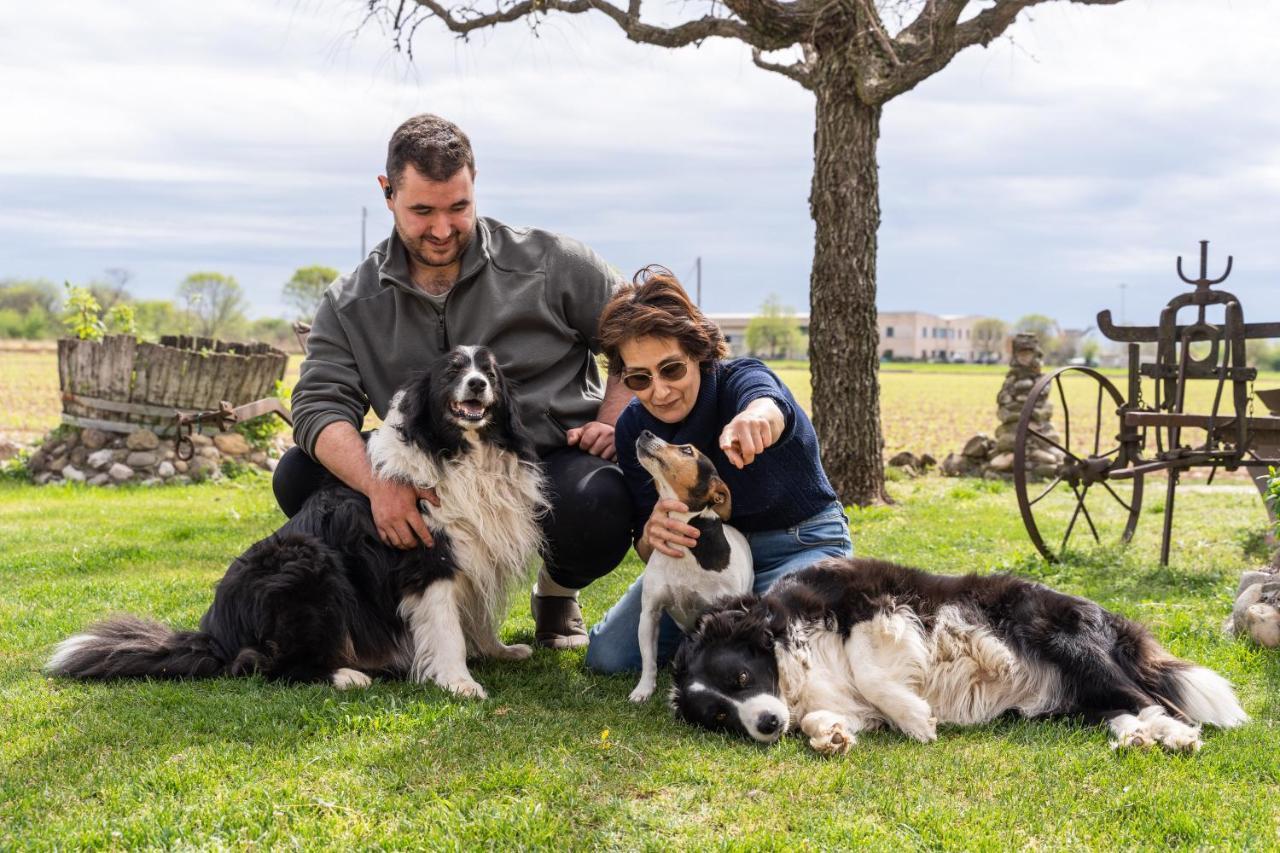 Agriturismo Pozzo Fiorito Castiglione Delle Stiviere Luaran gambar