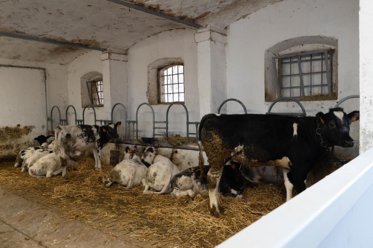 Agriturismo Pozzo Fiorito Castiglione Delle Stiviere Luaran gambar